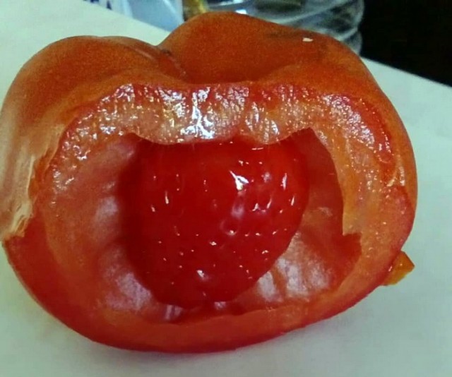 paradajz-foto-ivana-gmo