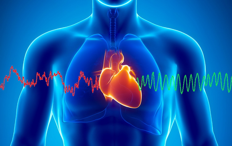 Kardiolog otkrio kojih 5 stvari najviše uništavaju srce, naše omiljeno jelo najgore utiče
