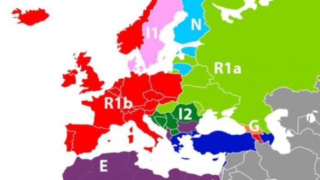dnk mapa gena evropa haplo grupa