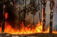 Sumnja da su požari u Srbiji podmetnuti …