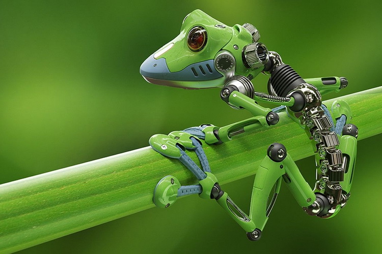Živi roboti sami počeli da se razmnožavaju na način koji nije viđen kod biljaka i životinja